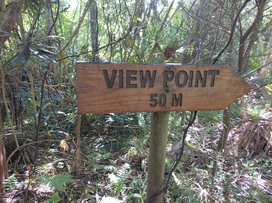 Grande Montagne Nature Reserve-罗德里格斯岛必去景点