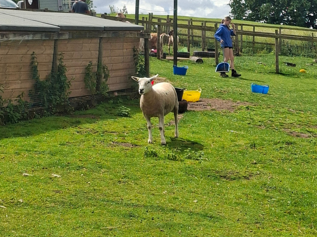 Sedgley Adventure Centre-Sedgley必去景点