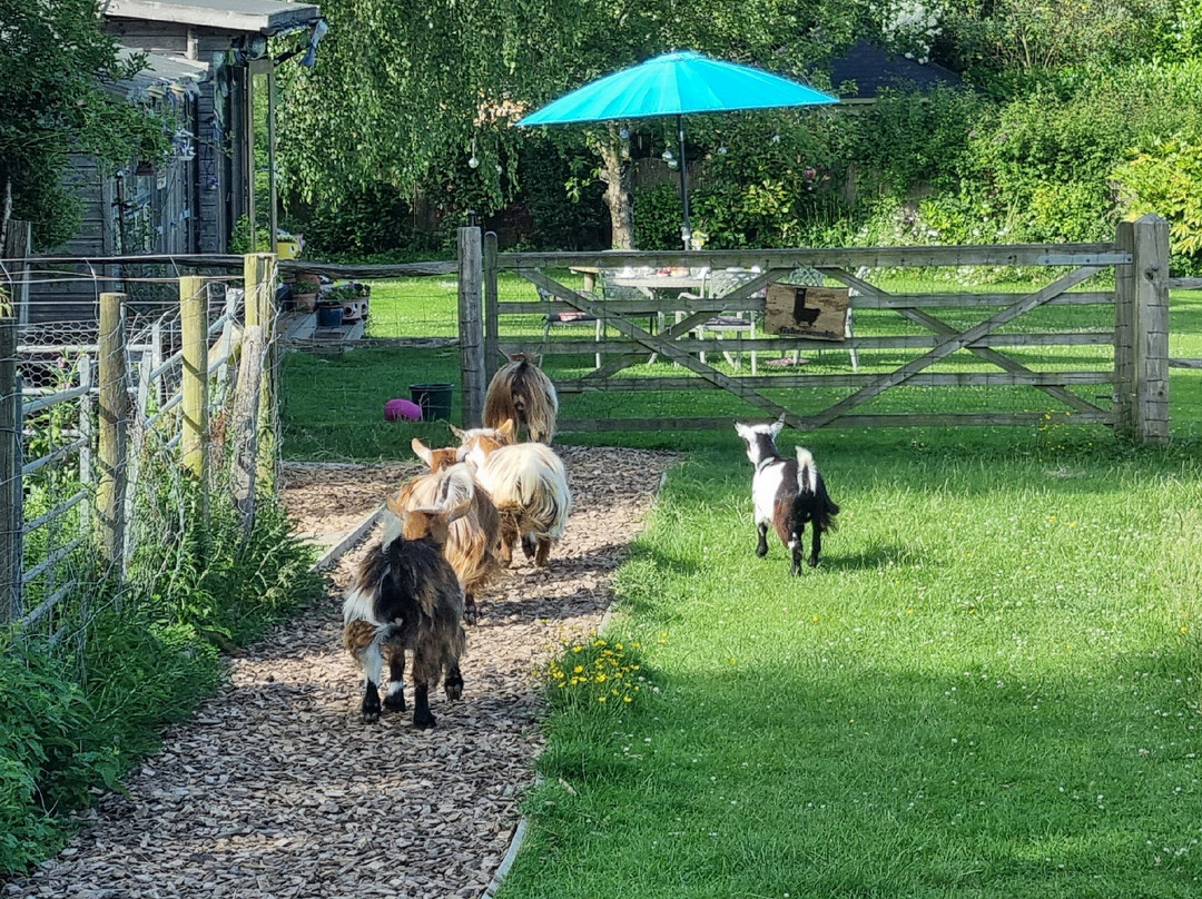 Fisherwood farm