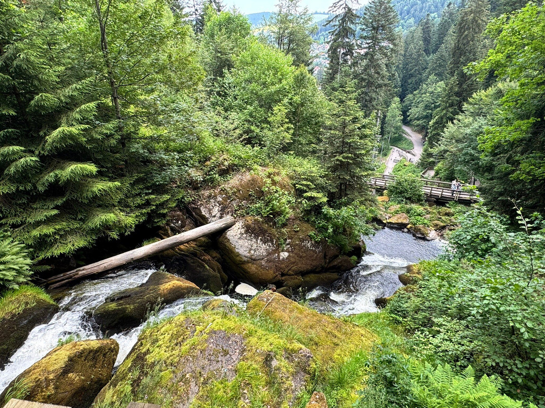 Triberger Waterfall-特里贝格必去景点