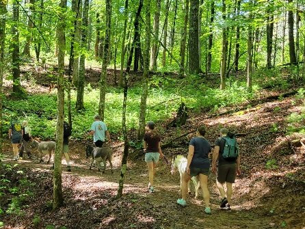 Happy Hooves Treks