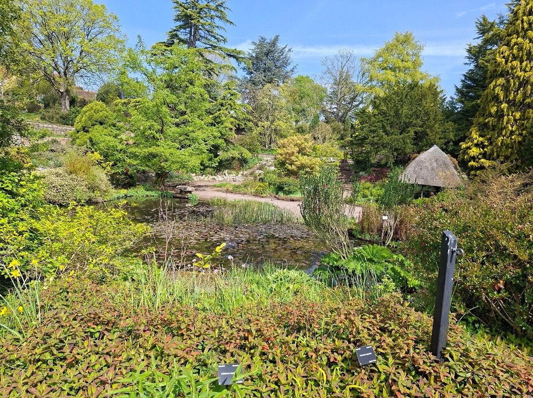 Ness Botanic Gardens-Ness必去景点