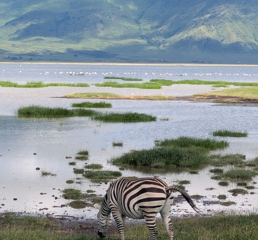 Ngorongoro Crater-恩戈罗恩戈罗保护区必去景点