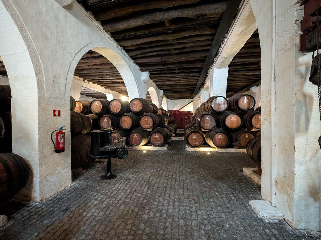 Casa Ramos Pinto-加亚新城必去景点