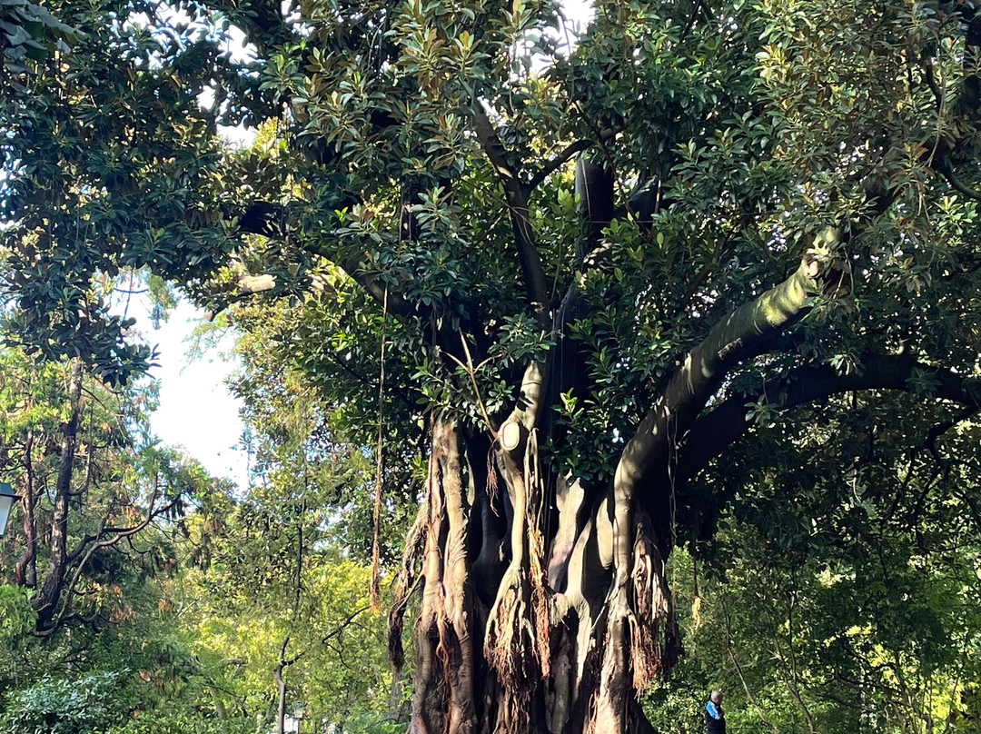 Jardim Da Estrela Park-里斯本必去景点