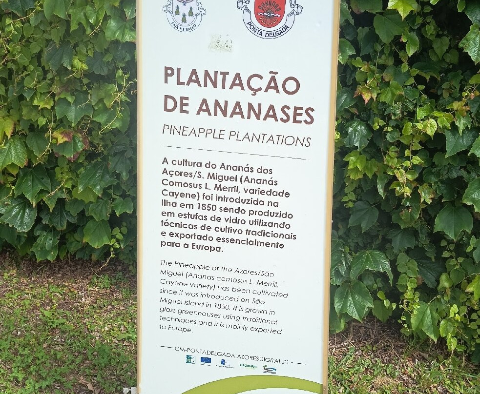 Plantação de Ananás dos Açores-蓬塔德尔加达必去景点