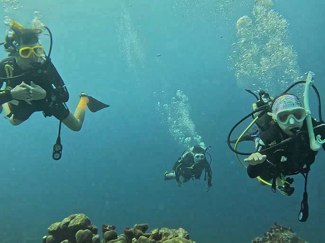 JADS Dive Center-San Nicolas必去景点