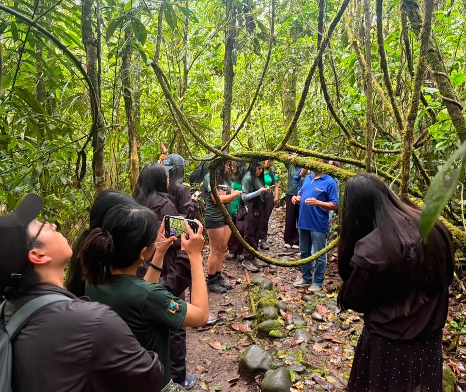 Parque Etnobotanico Omaere-Puyo必去景点
