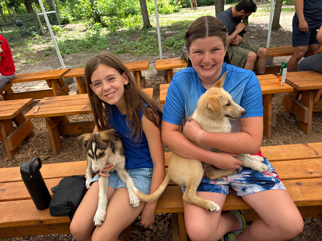 MIDOG - Michigan's Summer Sled Dog Center