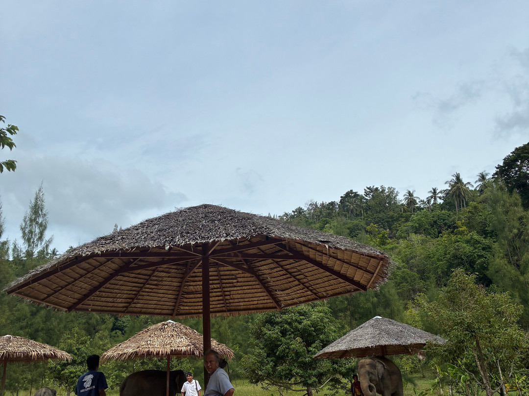 Samui Elephant Spa-苏梅岛必去景点