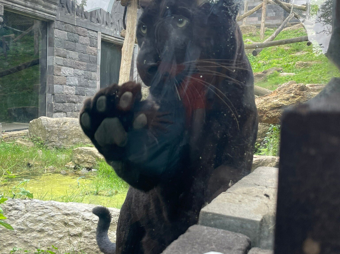 Pairi Daiza Resort主图