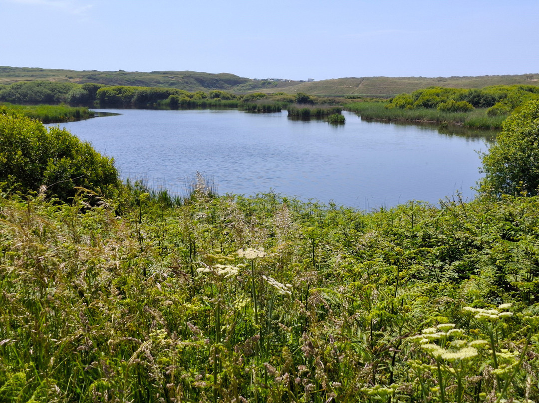 Réserve Naturelle Régionale des Étangs du Loch