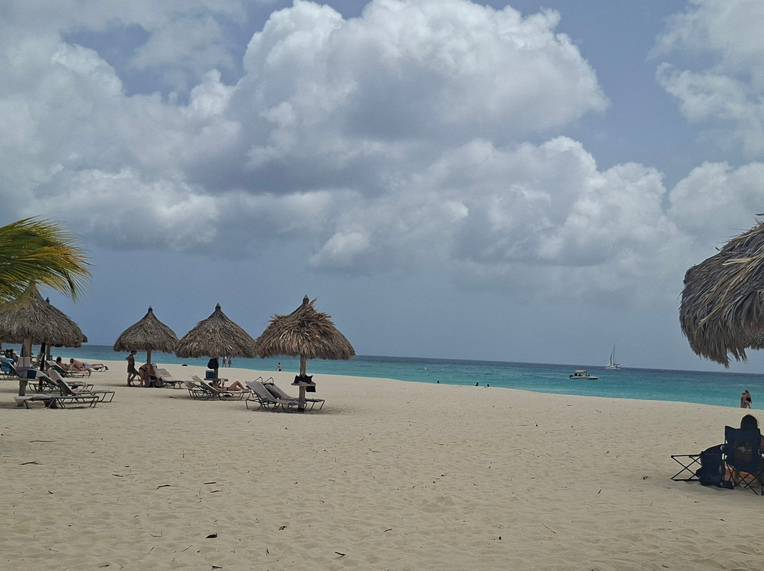 Manchebo Beach-棕榈/鹰海滩必去景点