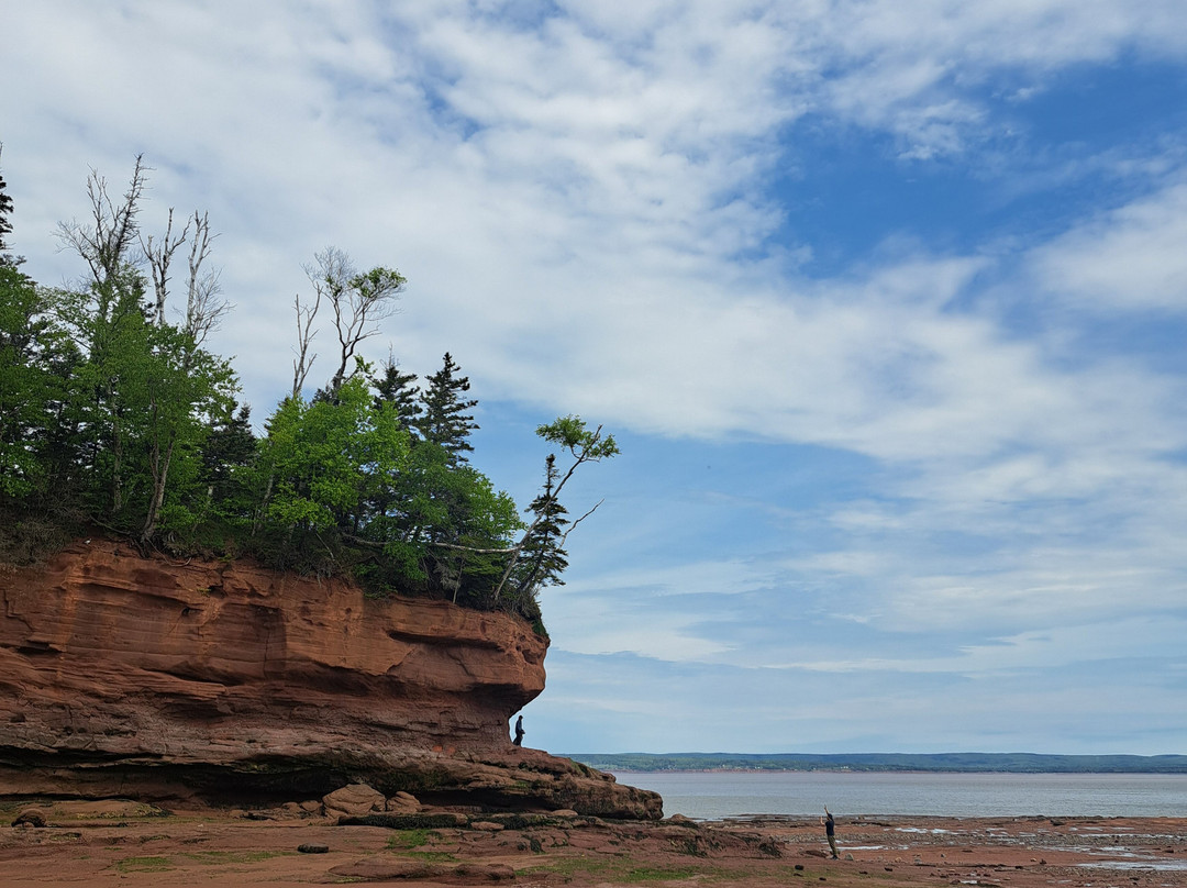 Burntcoat Head Park-Noel必去景点