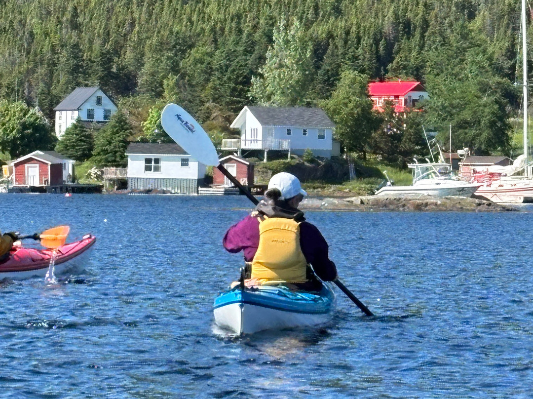 Adventures Newfoundland-Fortune Harbour必去景点