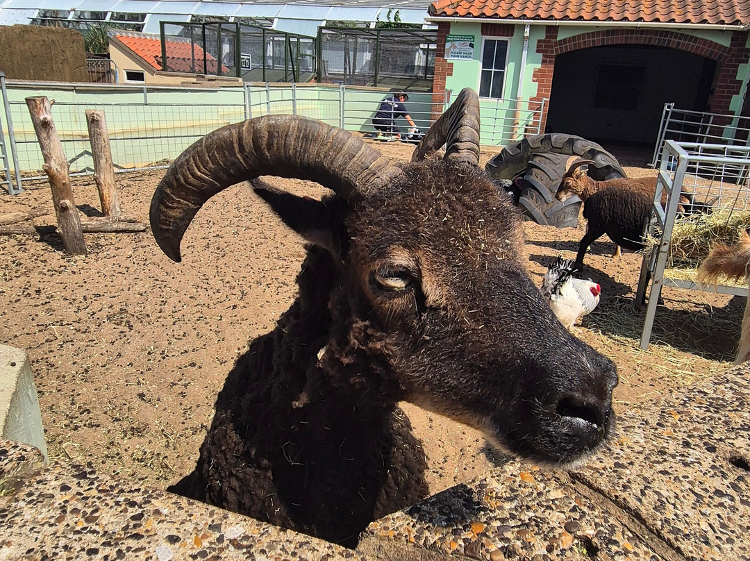 Natureland Seal Sanctuary-斯凯格内斯必去景点