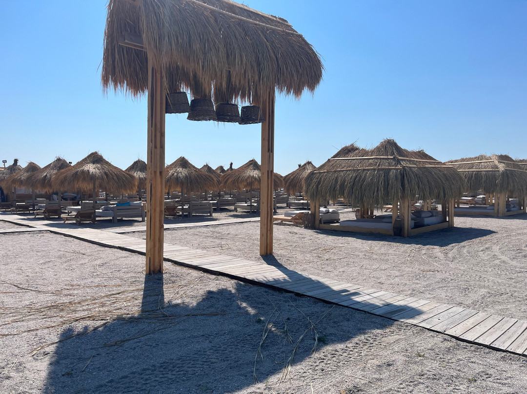 Princess Summer Club Mamaia-Mamaia必去景点