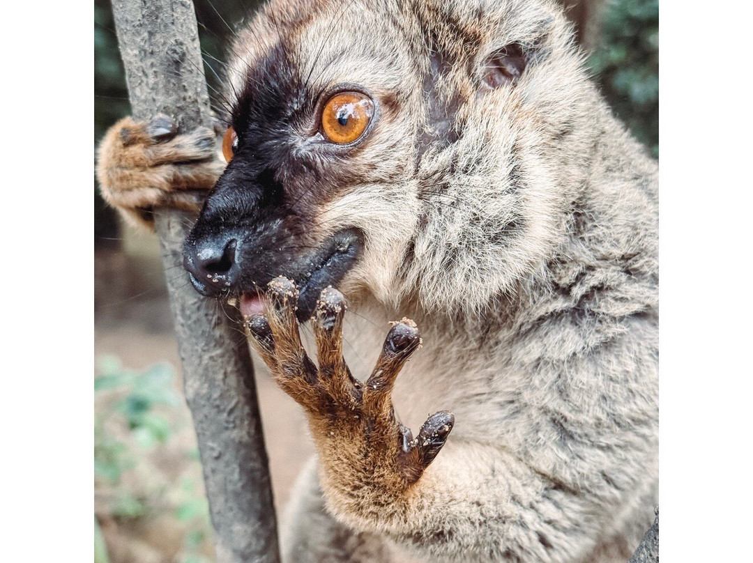 Soul of Madagascar Tours-Toamasina (Tamatave)必去景点
