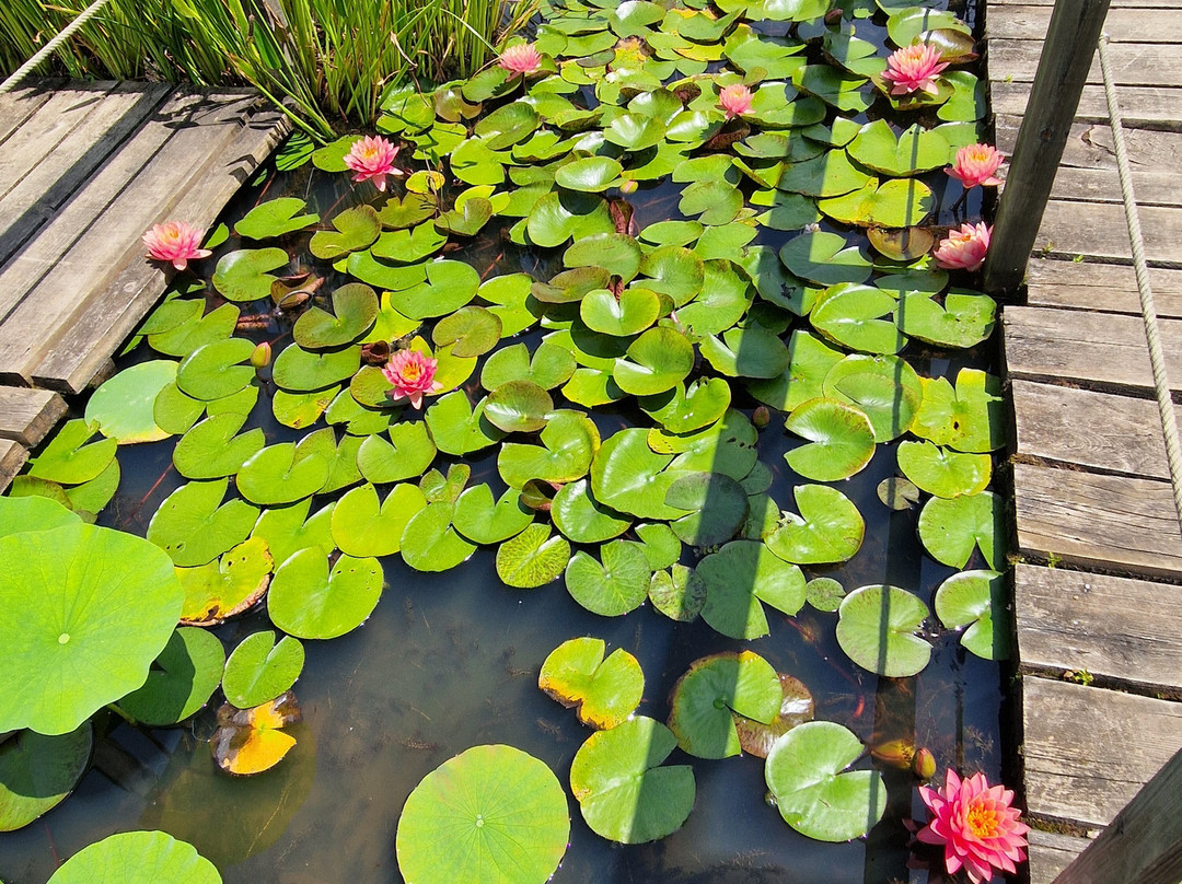 Les Jardins D'eau-Carsac-Aillac必去景点