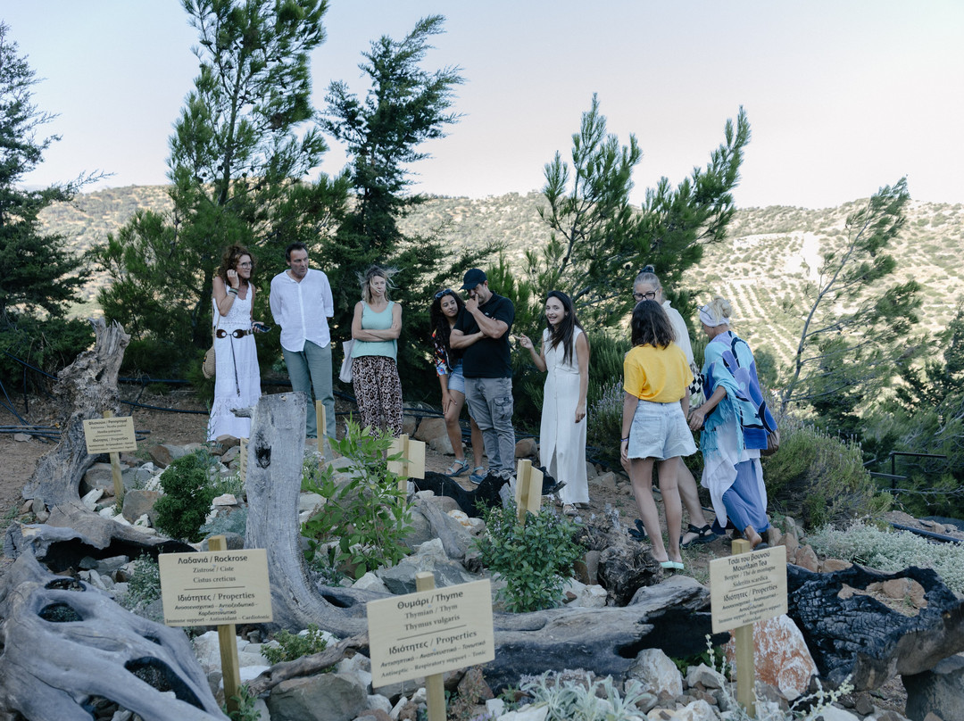 Botaniá - Mediterranean Herb Farm & Experiences-Agia Galini必去景点