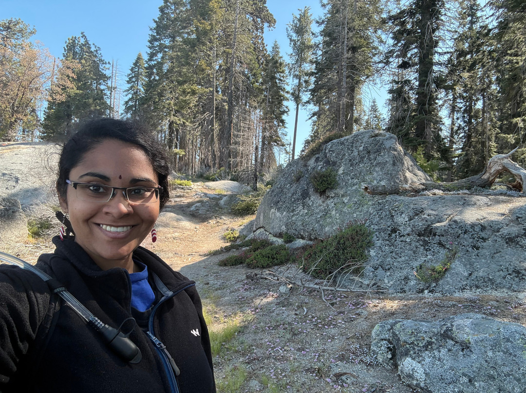 Beetle Rock In Sequoia National Park-Three Rivers必去景点