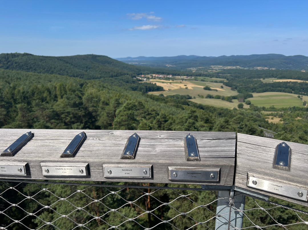 Chemin Des Cimes Alsace-Drachenbronn-Birlenbach必去景点
