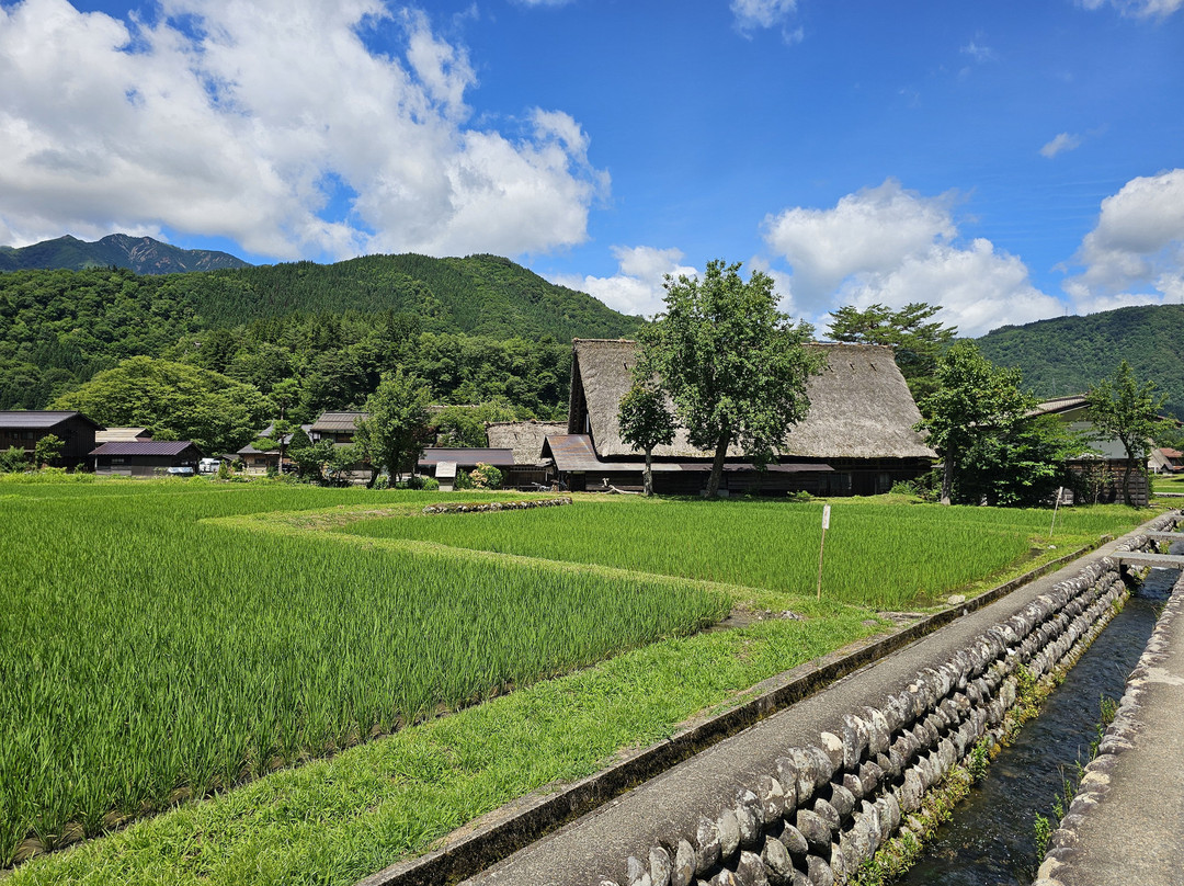 世界遗产白川乡合掌屋-白川村必去景点