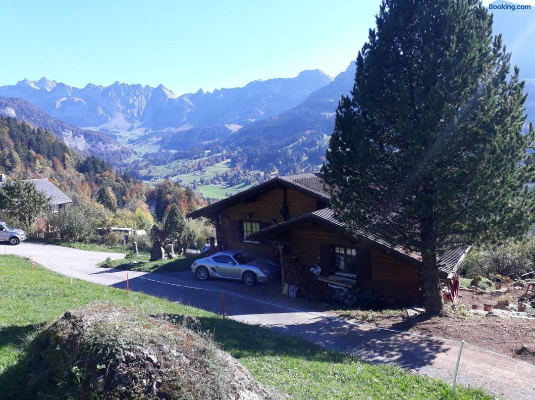 Cosy Swiss Chalet Chnorz Rooms