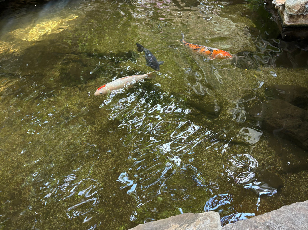 Center Parcs De Huttenheugte主图