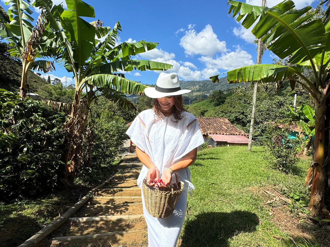 Finca Cafetera La Leona-麦德林必去景点