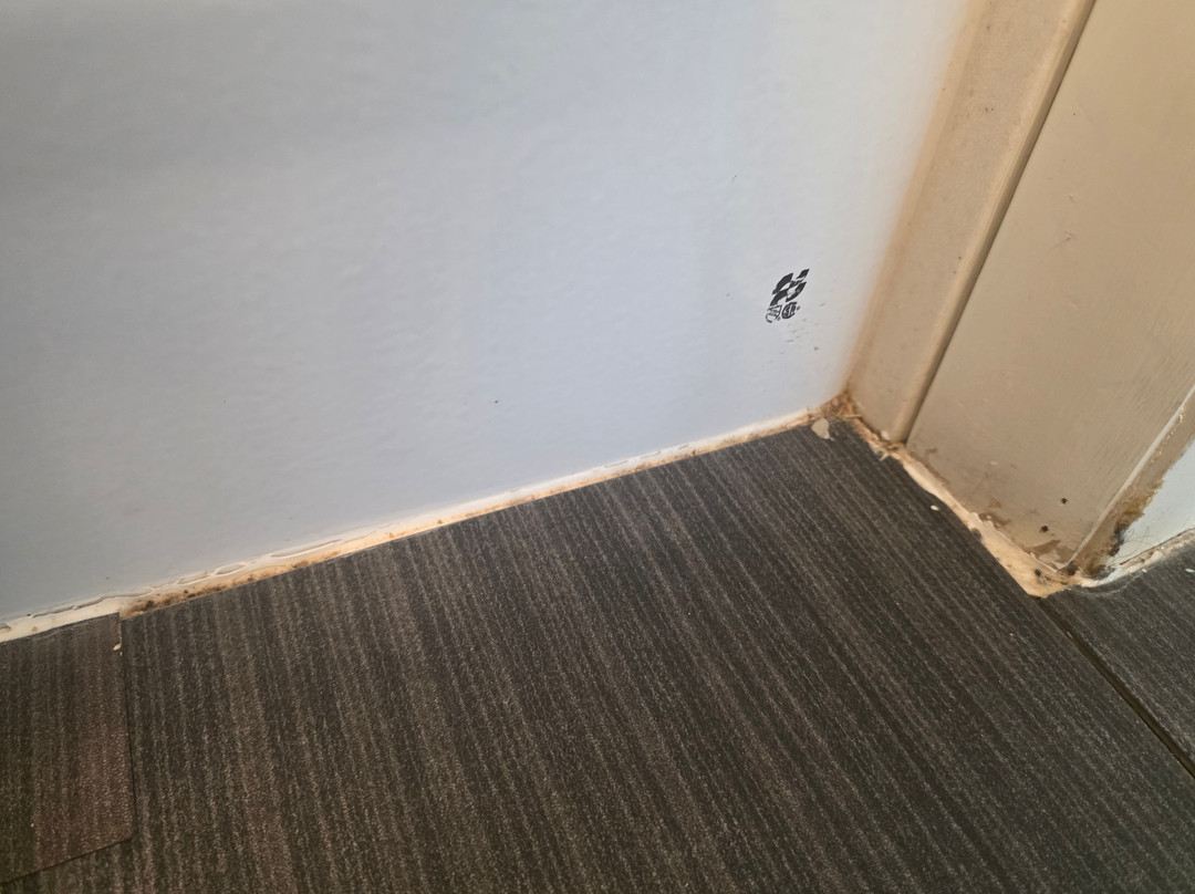 Holiday Inn 弗洛伦斯主图