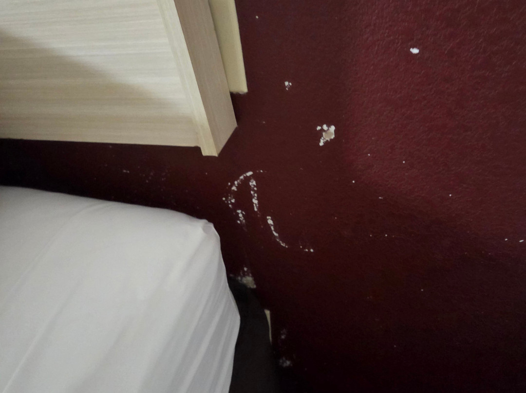 孟菲斯东红顶酒店主图