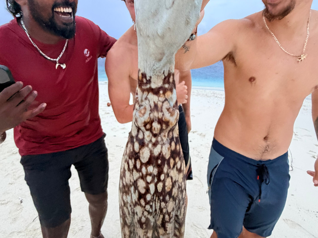 Adora Liveaboard, Maldives-马累必去景点