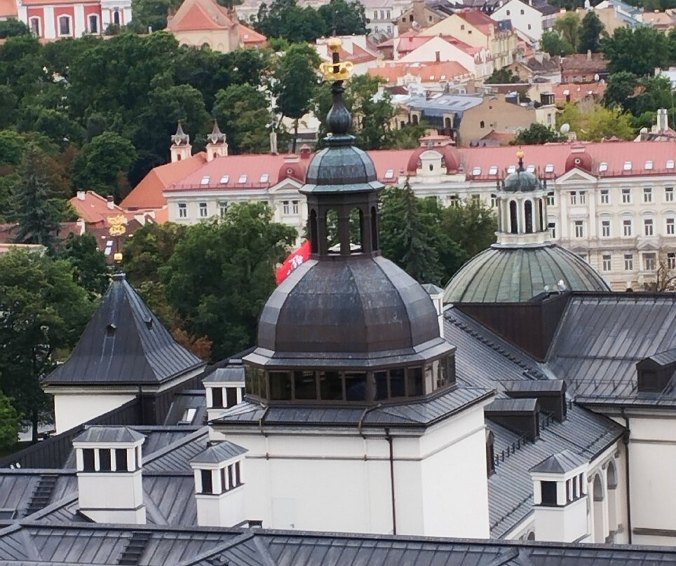 Gediminas Castle Tower-维尔纽斯必去景点