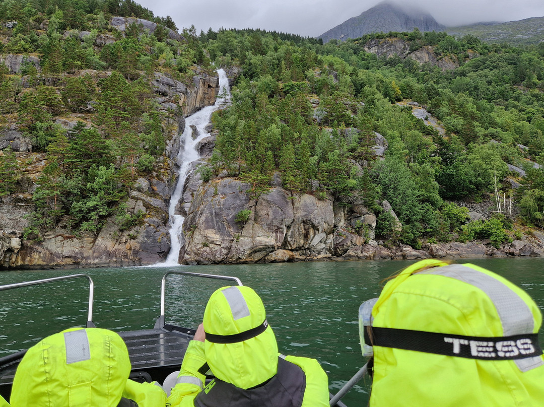 Hardanger Fjordsafari-Eidfjord必去景点