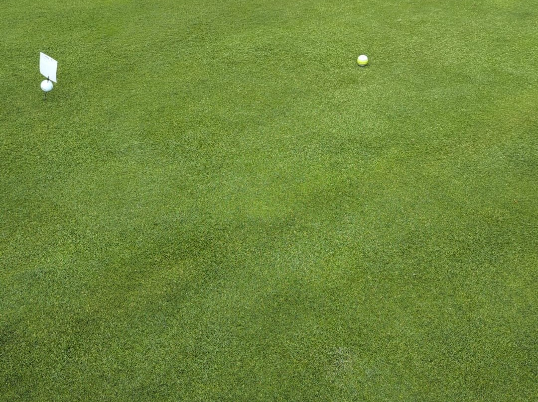 Bridlington Golf Club-布里德灵顿必去景点