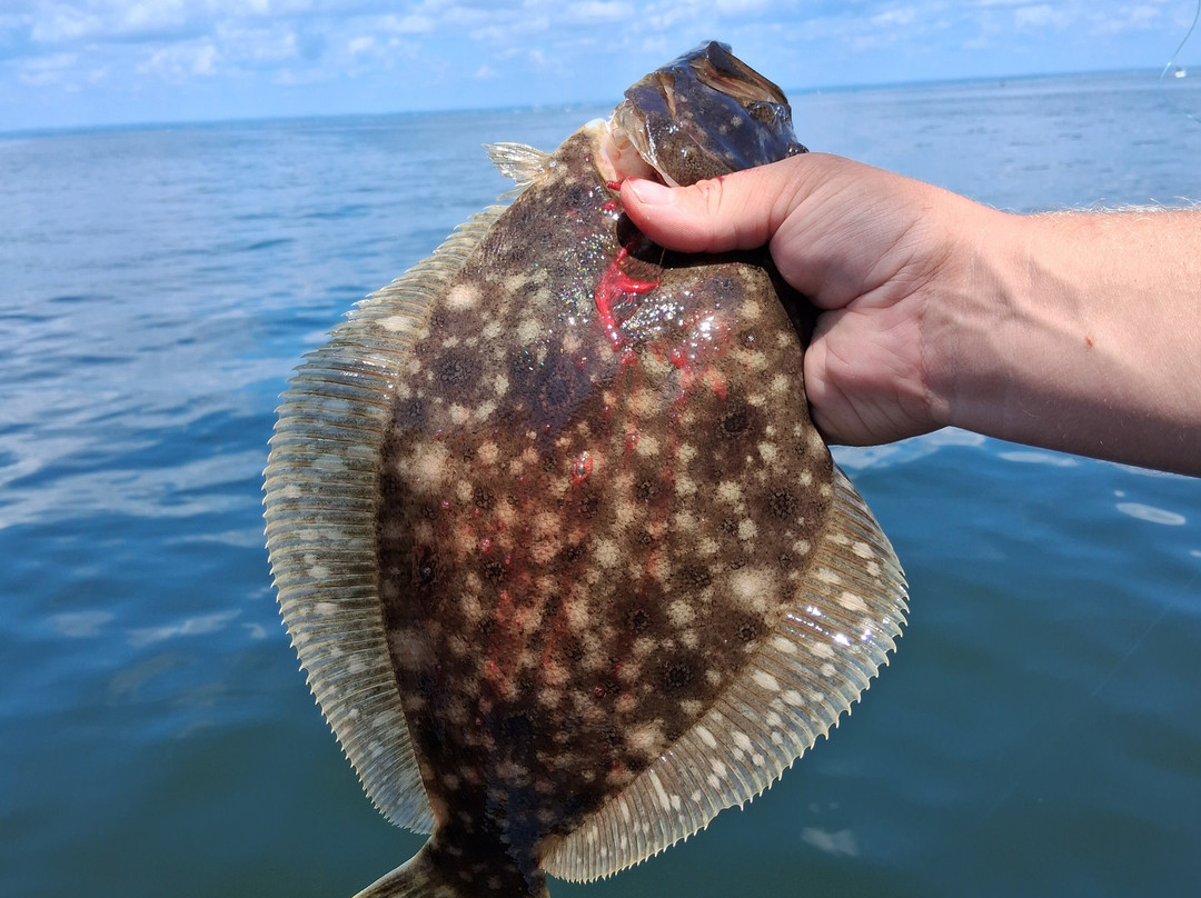 Sound Bound Fishing Charters-New Rochelle必去景点