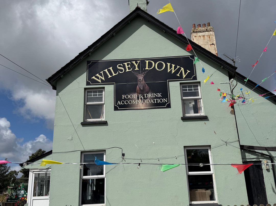 The Wilsey Down Hotel主图
