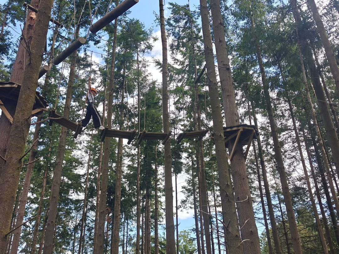 The Tunnel Tree Tops High Ropes-Charmouth必去景点