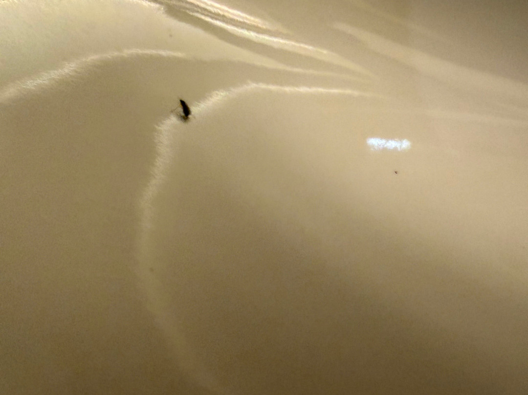 斯普林菲尔德万怡酒店主图