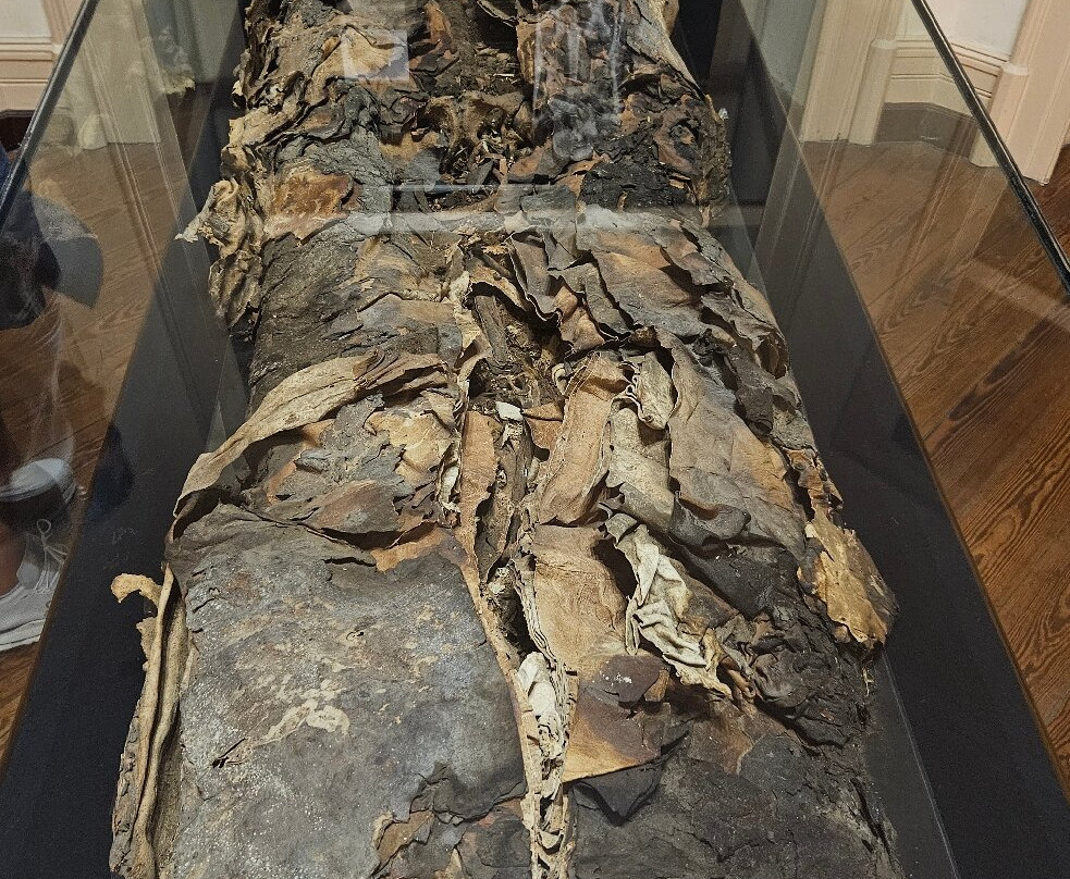 El Museo Canario-大加那利岛拉斯帕尔马斯必去景点