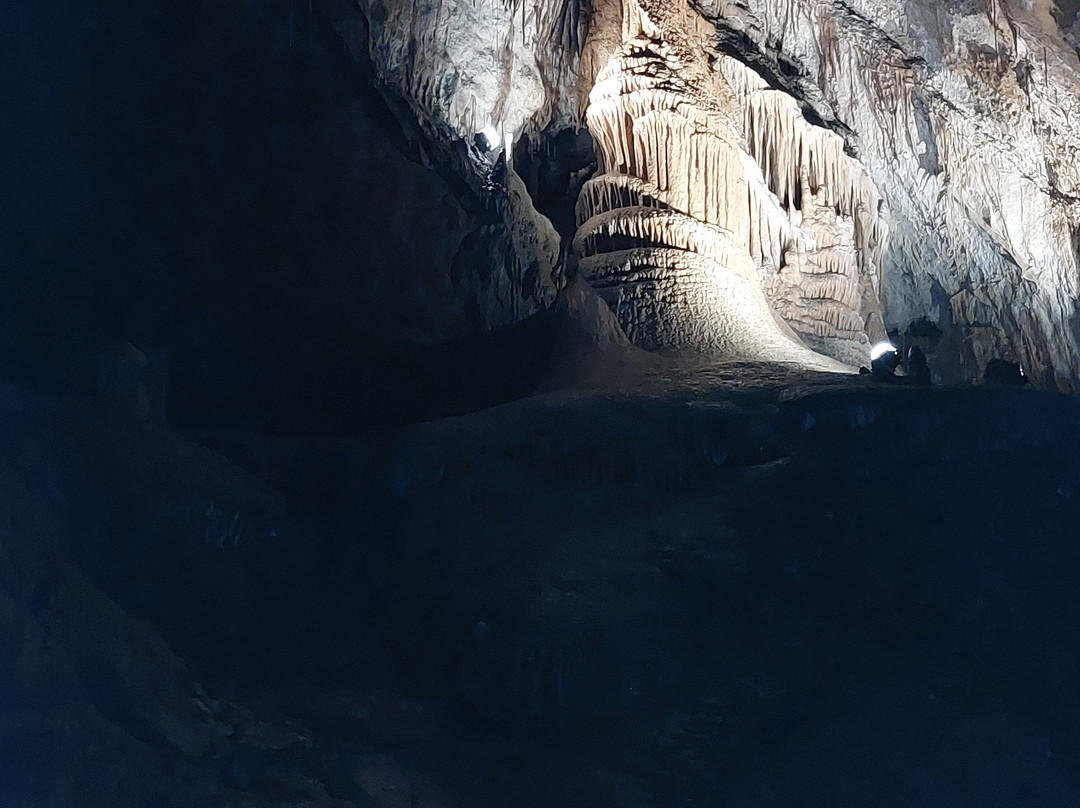 Mole Creek Caves-茉莉溪必去景点