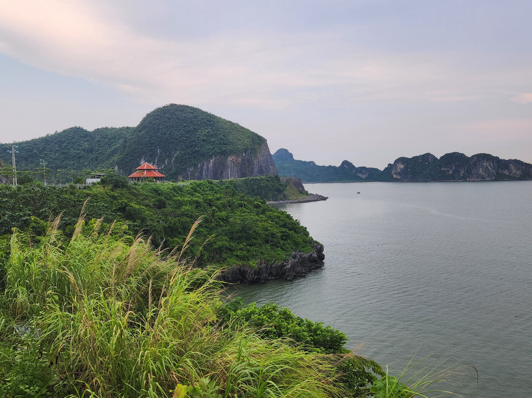 KingCong Travel-Cat Ba Town必去景点