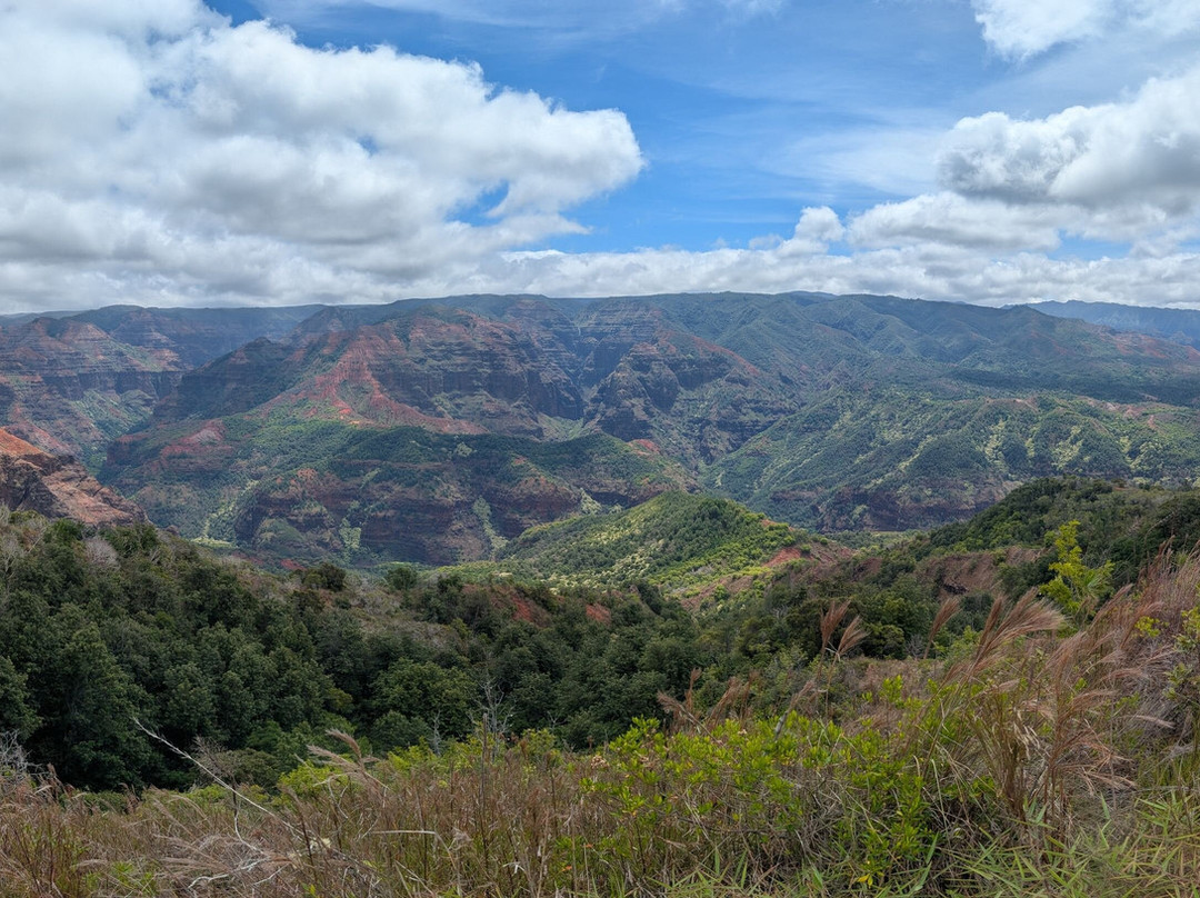 Iliau Nature Loop Trail-威美亚必去景点