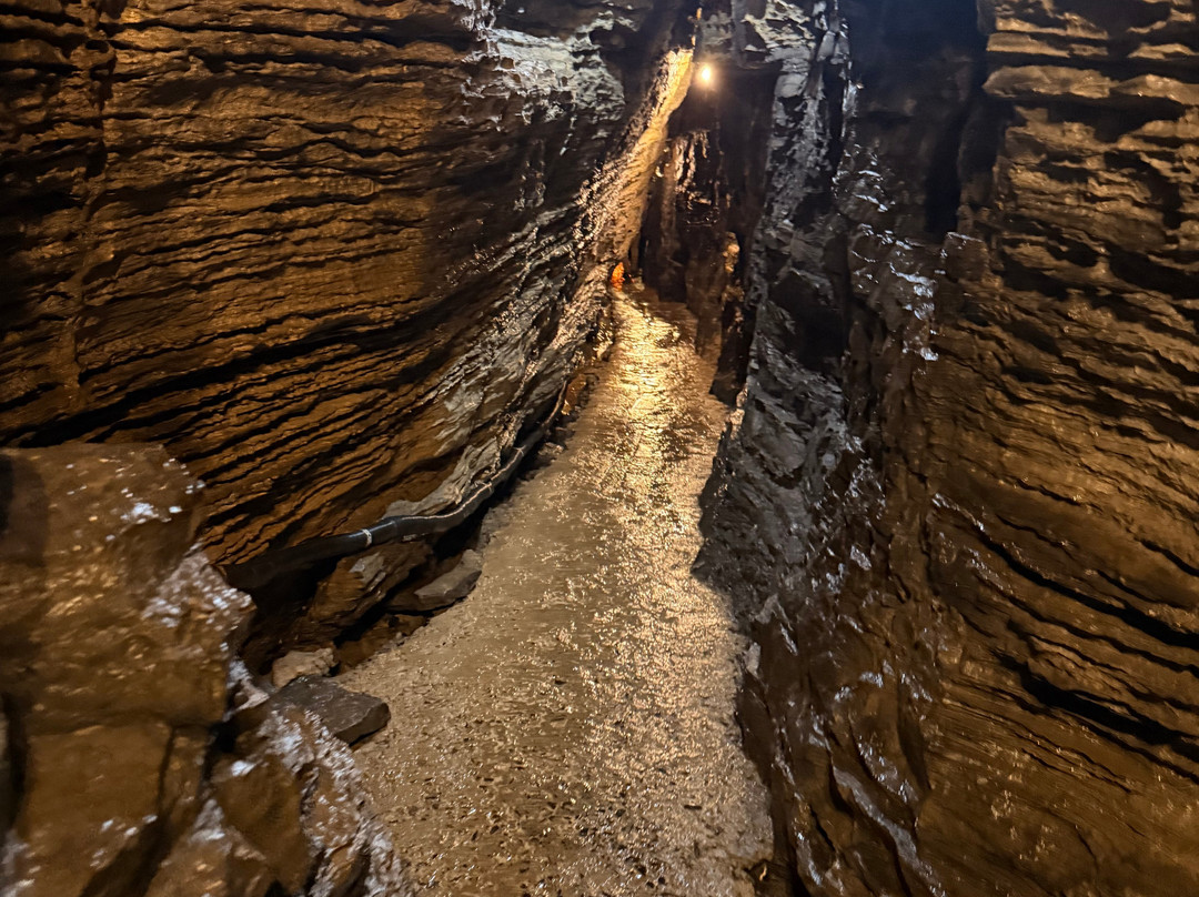 Secret Caverns-Cobleskill必去景点