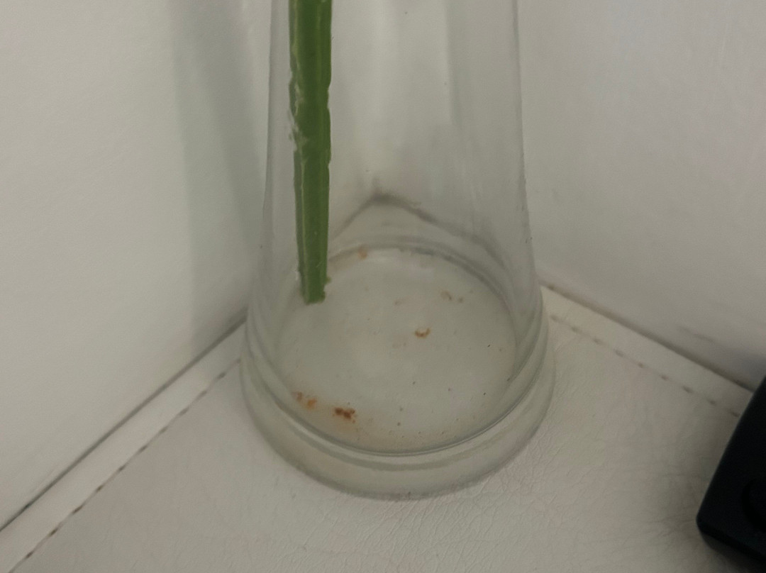 阿布索鲁托设计酒店主图