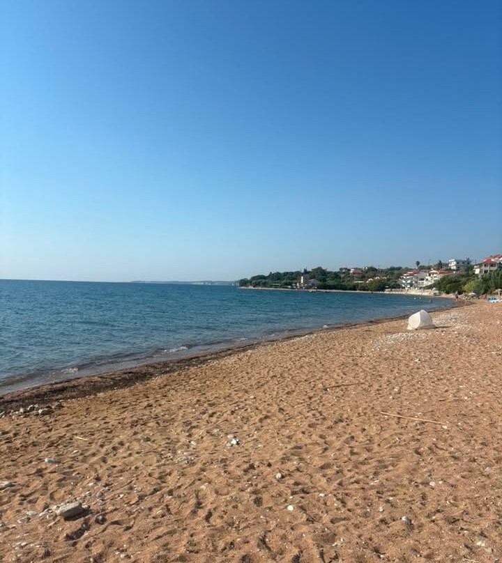 Caribbean Beach bar-Chrani必去景点