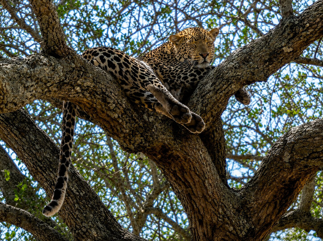 Sereland Africa Safaris-Sakina必去景点