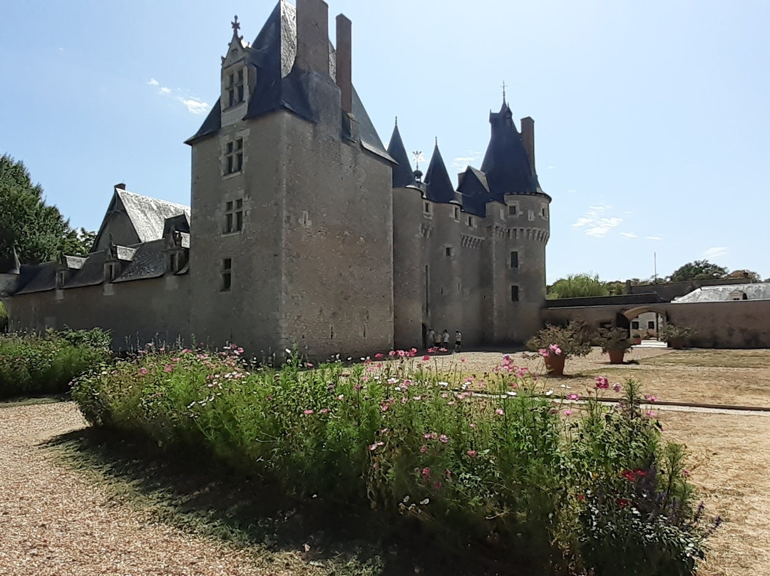 Chateau de Fougeres-sur-Bievre-Fougeres-sur-Bievre必去景点