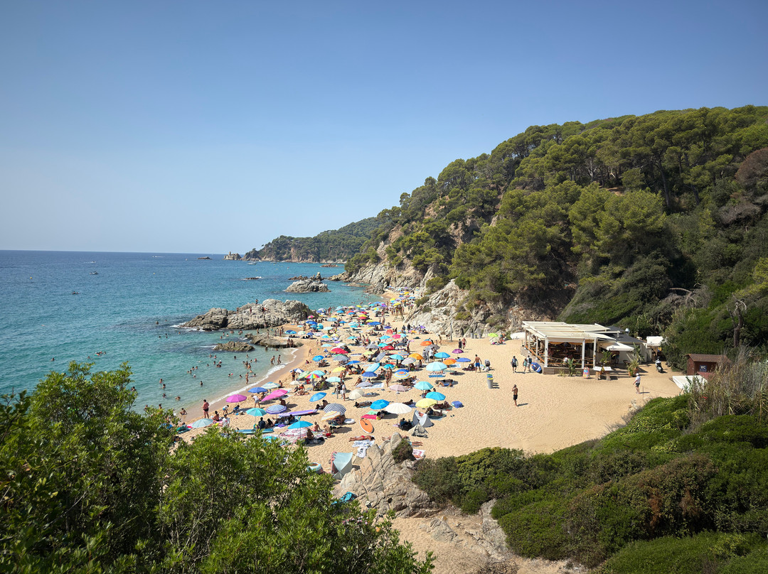 Playa Cala Sa Boadella-犹兰特德玛必去景点